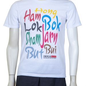 IWKA kung fu T-Shirt Motto bunt front