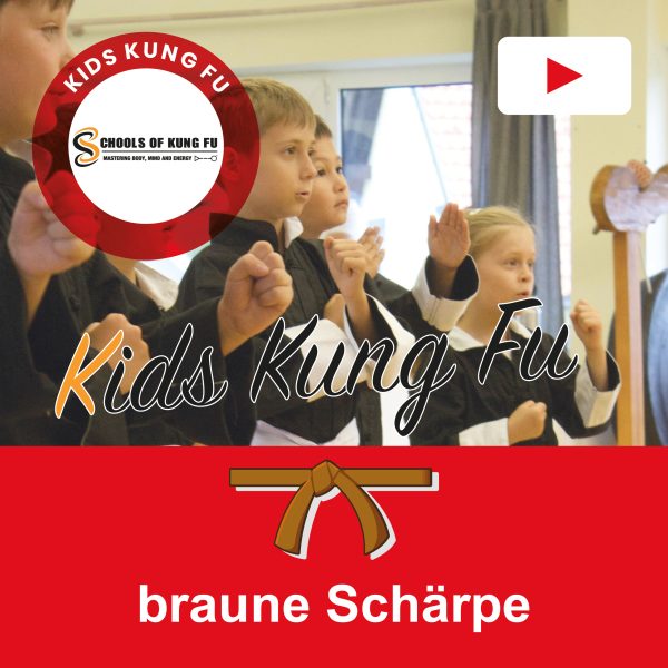 Braune Schärpe <sup>4 Videos</sup> [Digital]
