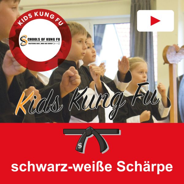 Schwarz weiße Schärpe <sup>3 Videos</sup> [Digital]